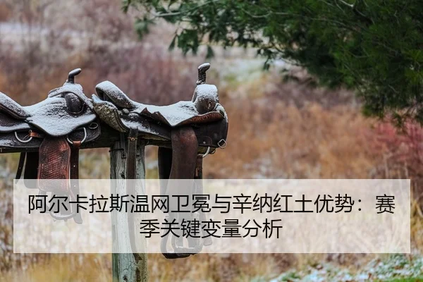 a-er-ka-la-si-wen-wang-wei-mian-yu-xin-na-hong-tu-you-shi-sai-ji-guan-jian-bian-liang-fen-xi-2-952.jpg