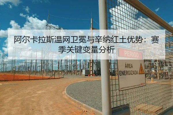 阿尔卡拉斯温网卫冕与辛纳红土优势：赛季关键变量分析
