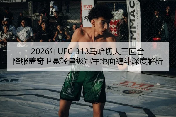 nian-ma-ha-qie-fu-san-hui-he-xiang-fu-gai-qi-wei-mian-qing-liang-ji-guan-jun-di-mian-chan-dou-shen-du-jie-xi-2-339.jpg