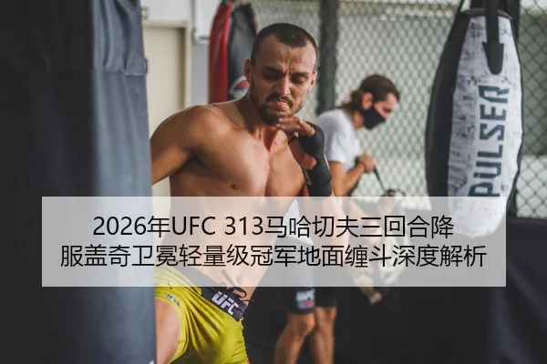 nian-ma-ha-qie-fu-san-hui-he-xiang-fu-gai-qi-wei-mian-qing-liang-ji-guan-jun-di-mian-chan-dou-shen-du-jie-xi-3-215.jpg