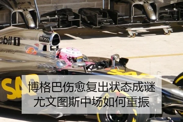 博格巴伤愈复出状态成谜 尤文图斯中场如何重振