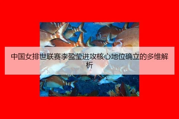 zhong-guo-nv-pai-shi-lian-sai-li-ying-ying-jin-gong-he-xin-di-wei-que-li-de-duo-wei-jie-xi-3-366.jpg