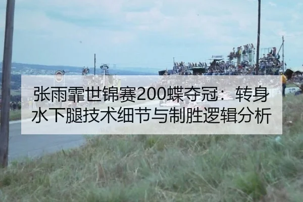 张雨霏世锦赛200蝶夺冠：转身水下腿技术细节与制胜逻辑分析
